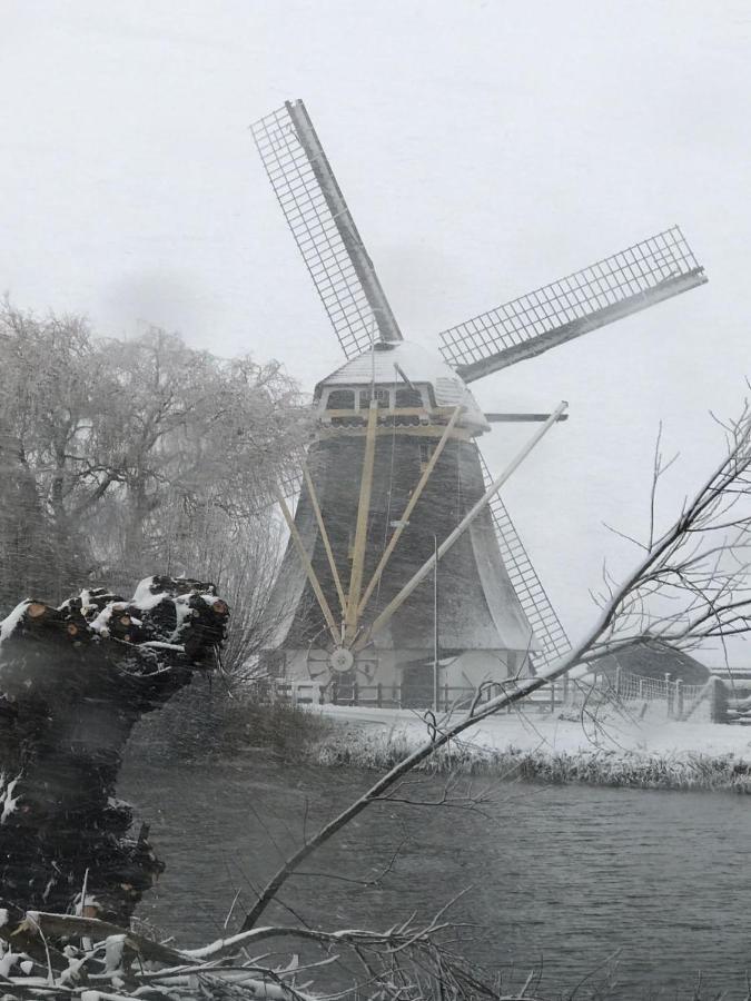 Mondriaanmolen, A Real Windmill Close To Amsterdam Abcoude Kültér fotó